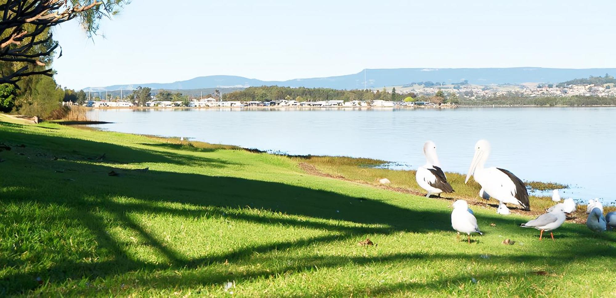 Primbee Golf Place Inn Wollongong المظهر الخارجي الصورة